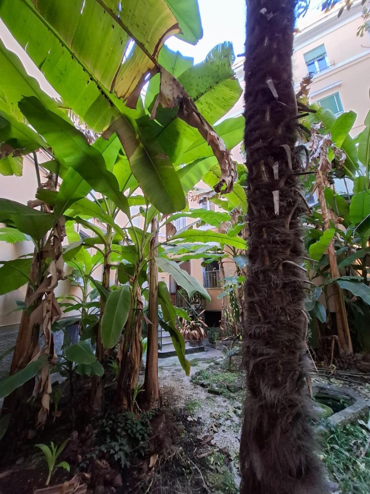 Apartamento Casa Di Michele